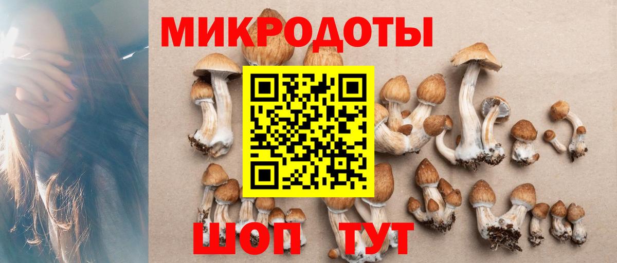 Псилоцибиновые грибы ЛСД  Вход с VPN  сколько стоит  Семёнов  Галлюциногенные грибы Magic Shrooms 
